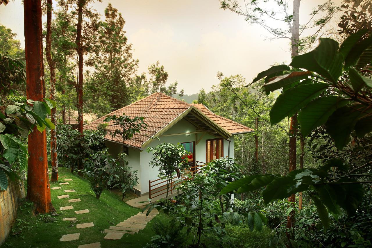 Peter'S Coffee Creek Nature Resort Meppādi Kültér fotó